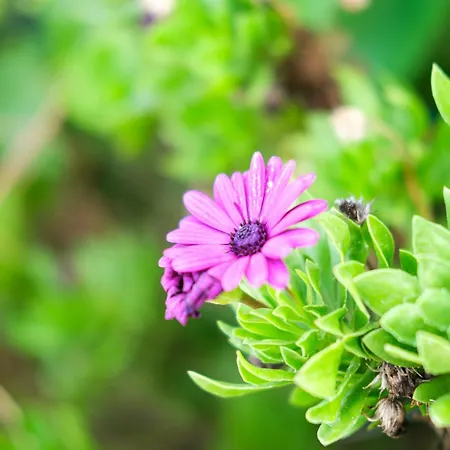 Maison d'hôtes Antico Casale Gioiosa Marea